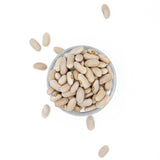 Alubia Canela de León