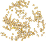 Garbanzo Pedrosillano (Ecológico)