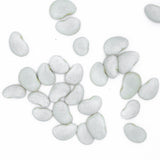 Alubia Garrafón Paella