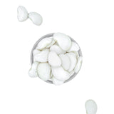 Alubia Garrafón Paella