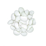 alubia-garrafon-paella-granel