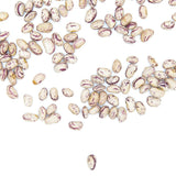 Alubia Pinta Especial