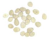 Almendra Marcona Cruda Repelada