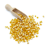 Maiz para "palomitas"