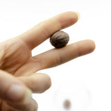 Nuez Moscada en Grano