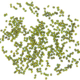Soja Verde (Ecológica)